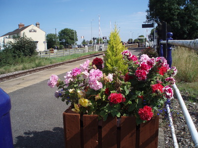 One of many planters at Habrough station