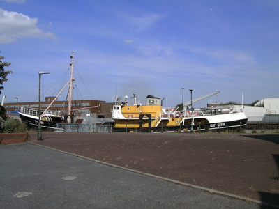 Ross Tiger