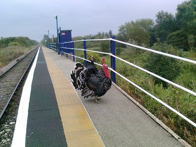 Barrow Haven: passengers awaiting the train