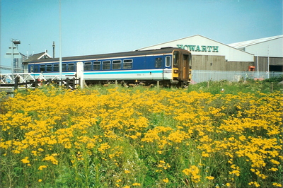 New Holland: train with wild flowers