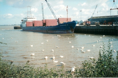 New Holland: timber ship in the dock